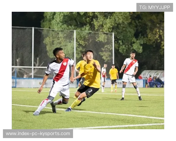 球员语言训练:多语种交流如何提升球队协同? 球员语言训练:多语种交流如何提升球队协同?